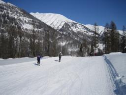cross-country skiers
