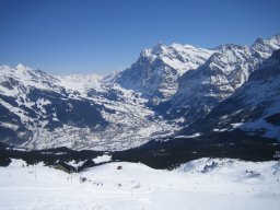 View to Grindelwald