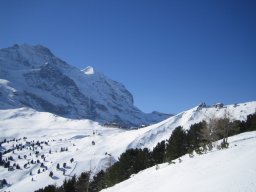 View to Kleine Scheidegg